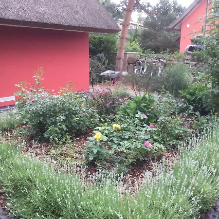 Haus Moewe * 科尔平塞