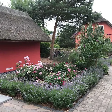 别墅 Haus Moewe 科尔平塞
